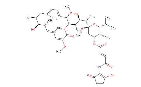 BAFILOMYCIN B2